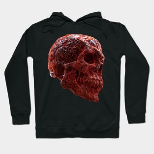 TARGET RED SKULL Hoodie